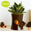Qualy（クアリー）LOG＆SQUIRREL self watering plant pot